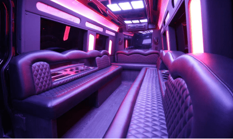 Austin 14 Passenger Sprinter Bus Interior